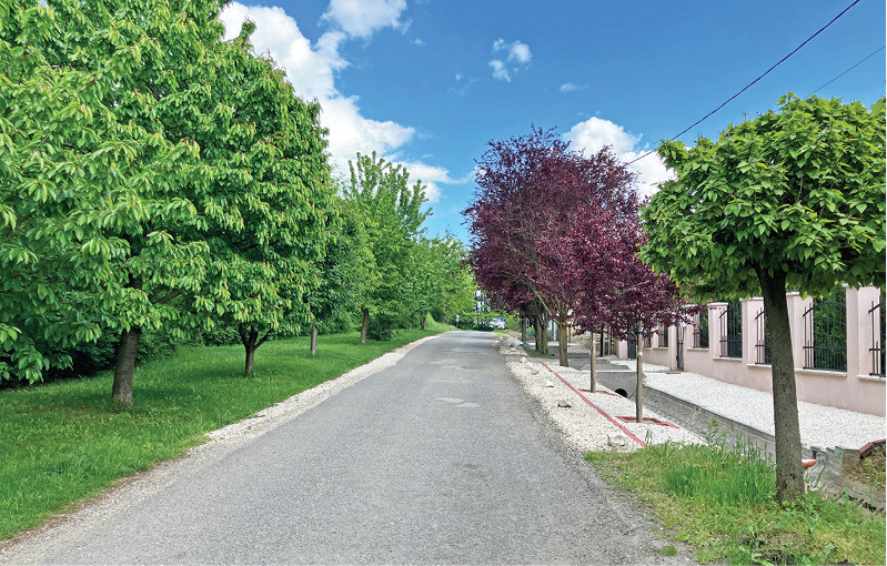 Pecel 2025 majus 10 old 01