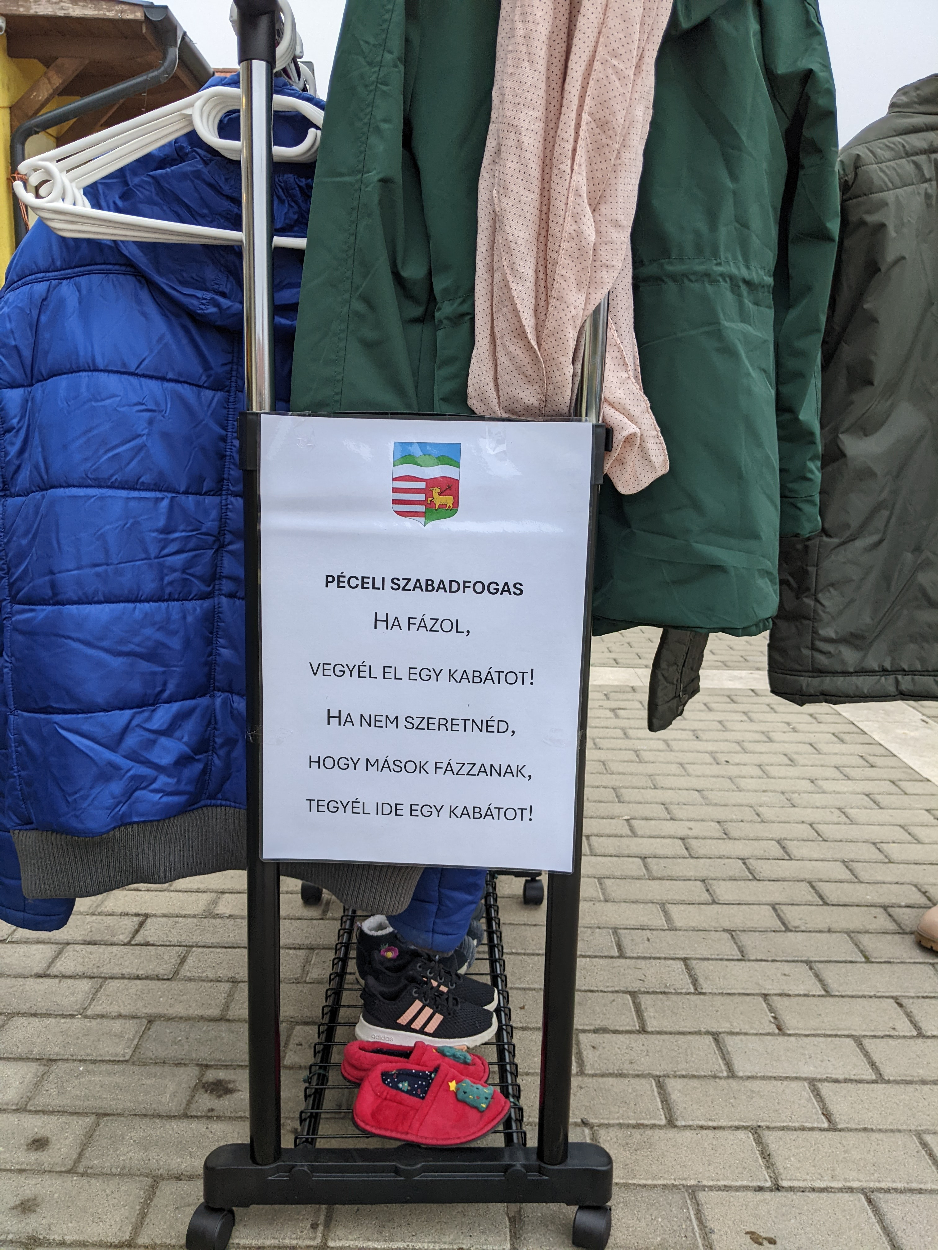 Pxl 20241111 110910965